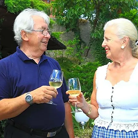 Weinberg Mit Nizza Hotel Landau in der Pfalz