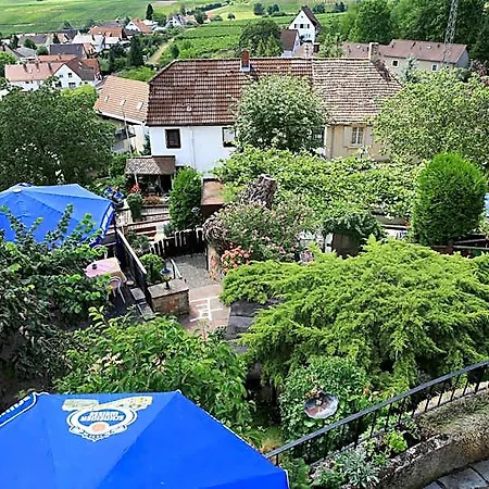 Weinberg Mit Nizza Landau in der Pfalz