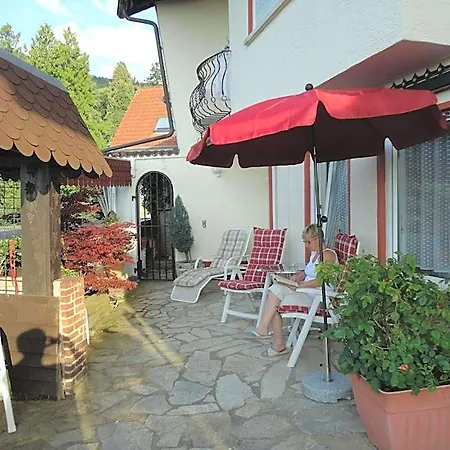 Weinberg Mit Nizza