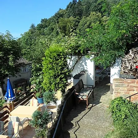 Weinberg Mit Nizza *
